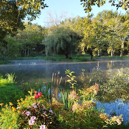 Le Ranch Amadeus Bed and Breakfast Saint-Paul-en-Born Εξωτερικό φωτογραφία