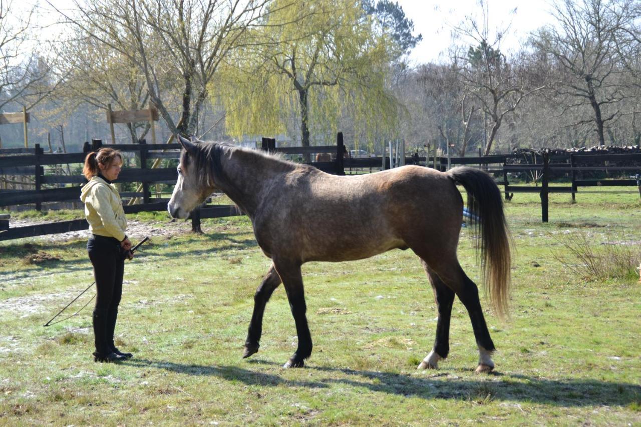 Le Ranch Amadeus Bed and Breakfast Saint-Paul-en-Born Εξωτερικό φωτογραφία