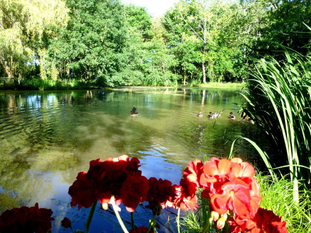 Le Ranch Amadeus Bed and Breakfast Saint-Paul-en-Born Εξωτερικό φωτογραφία