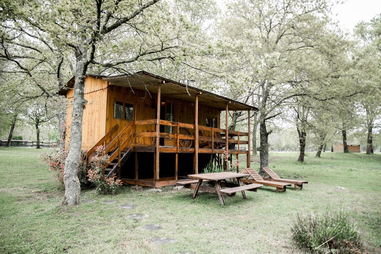 Le Ranch Amadeus Bed and Breakfast Saint-Paul-en-Born Εξωτερικό φωτογραφία
