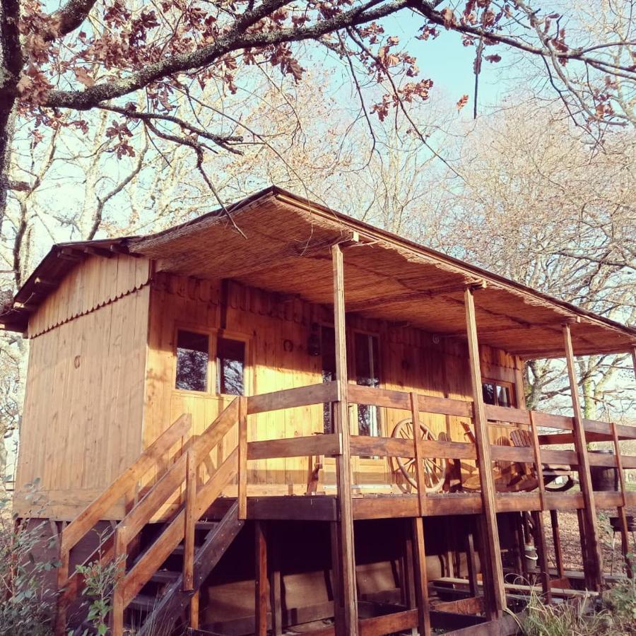 Le Ranch Amadeus Bed and Breakfast Saint-Paul-en-Born Εξωτερικό φωτογραφία