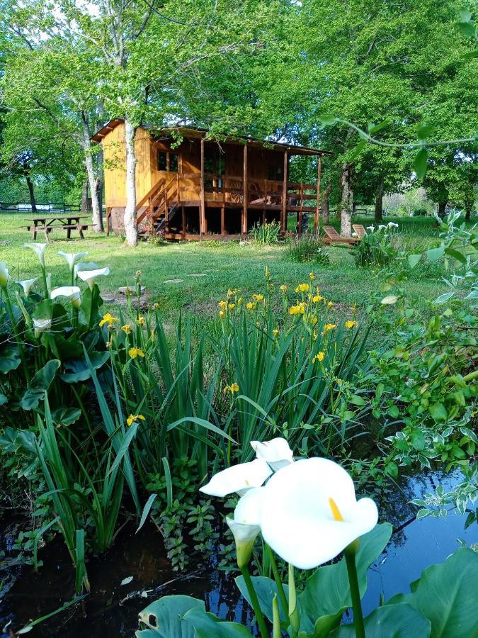 Le Ranch Amadeus Bed and Breakfast Saint-Paul-en-Born Εξωτερικό φωτογραφία