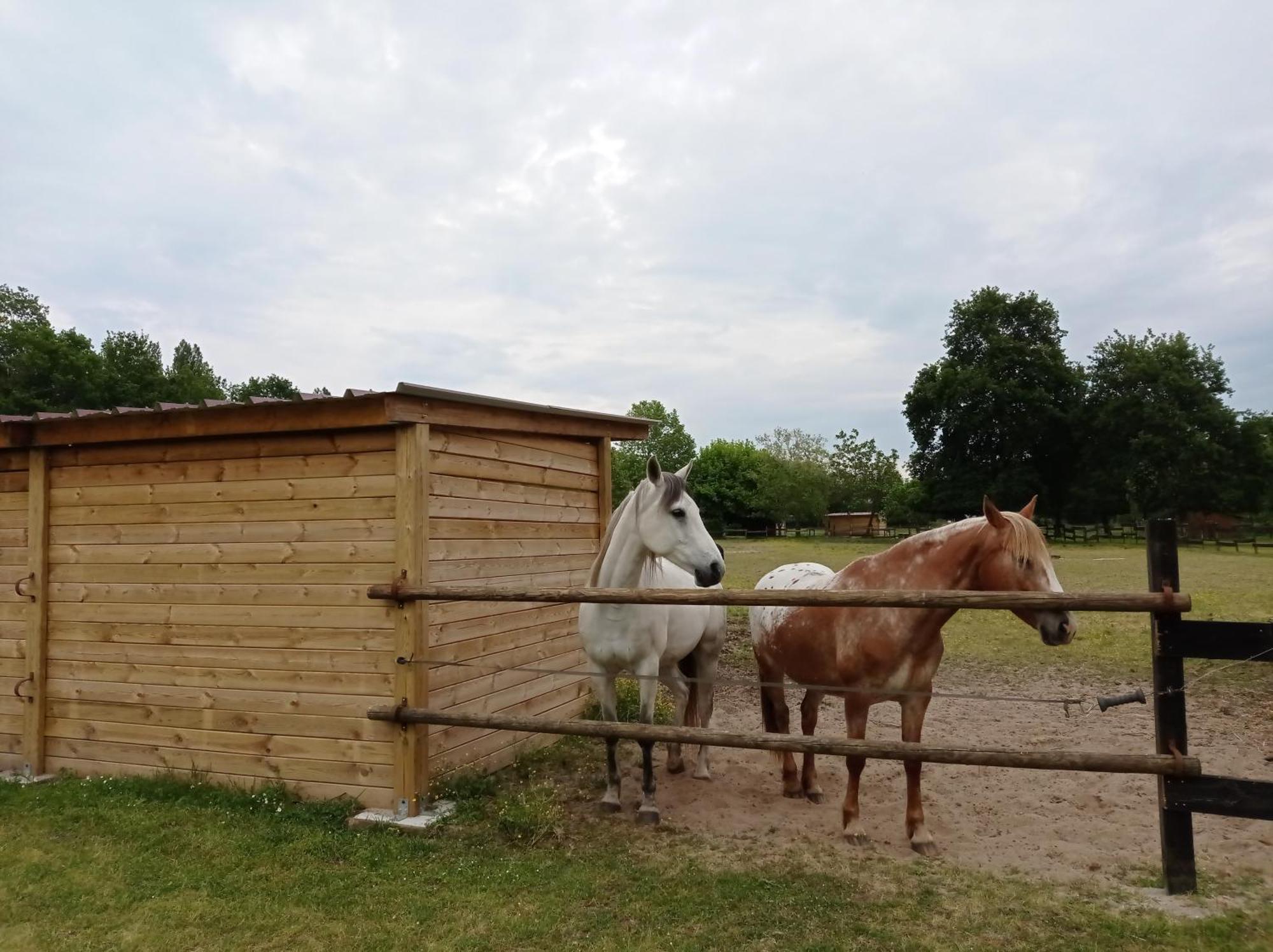 Le Ranch Amadeus Bed and Breakfast Saint-Paul-en-Born Εξωτερικό φωτογραφία