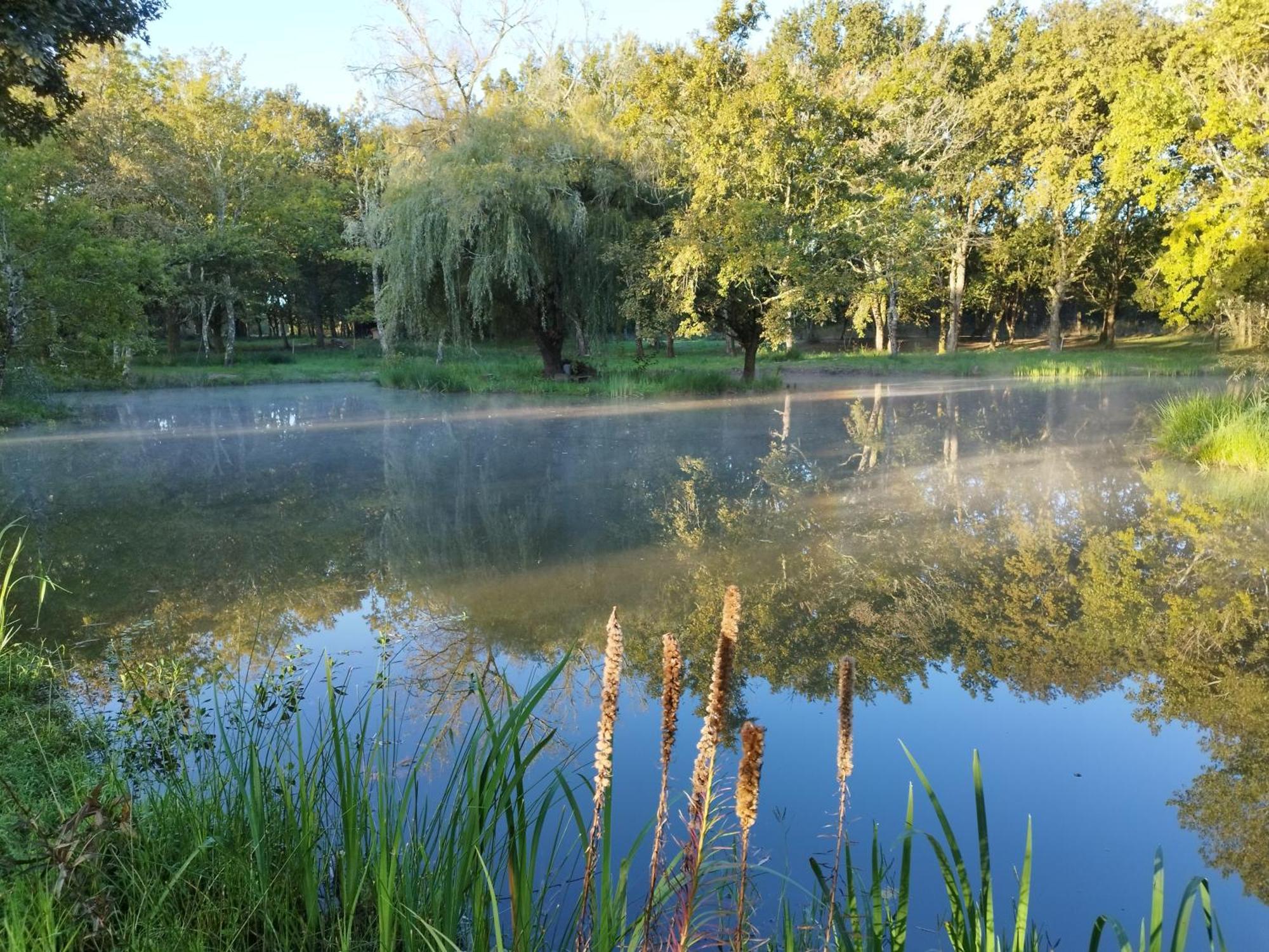 Le Ranch Amadeus Bed and Breakfast Saint-Paul-en-Born Εξωτερικό φωτογραφία