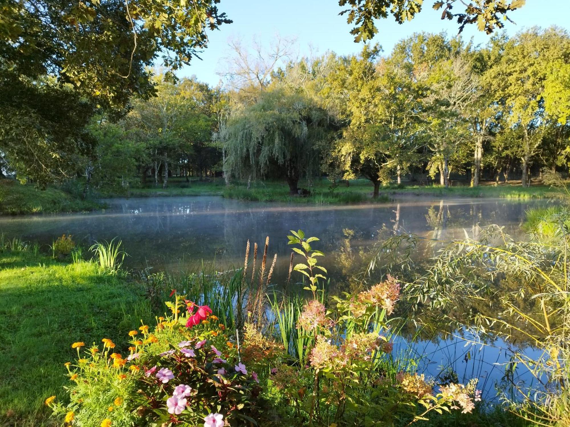 Le Ranch Amadeus Bed and Breakfast Saint-Paul-en-Born Εξωτερικό φωτογραφία
