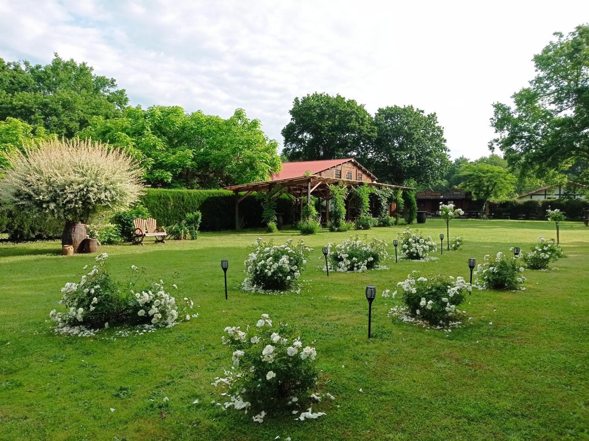 Le Ranch Amadeus Bed and Breakfast Saint-Paul-en-Born Εξωτερικό φωτογραφία