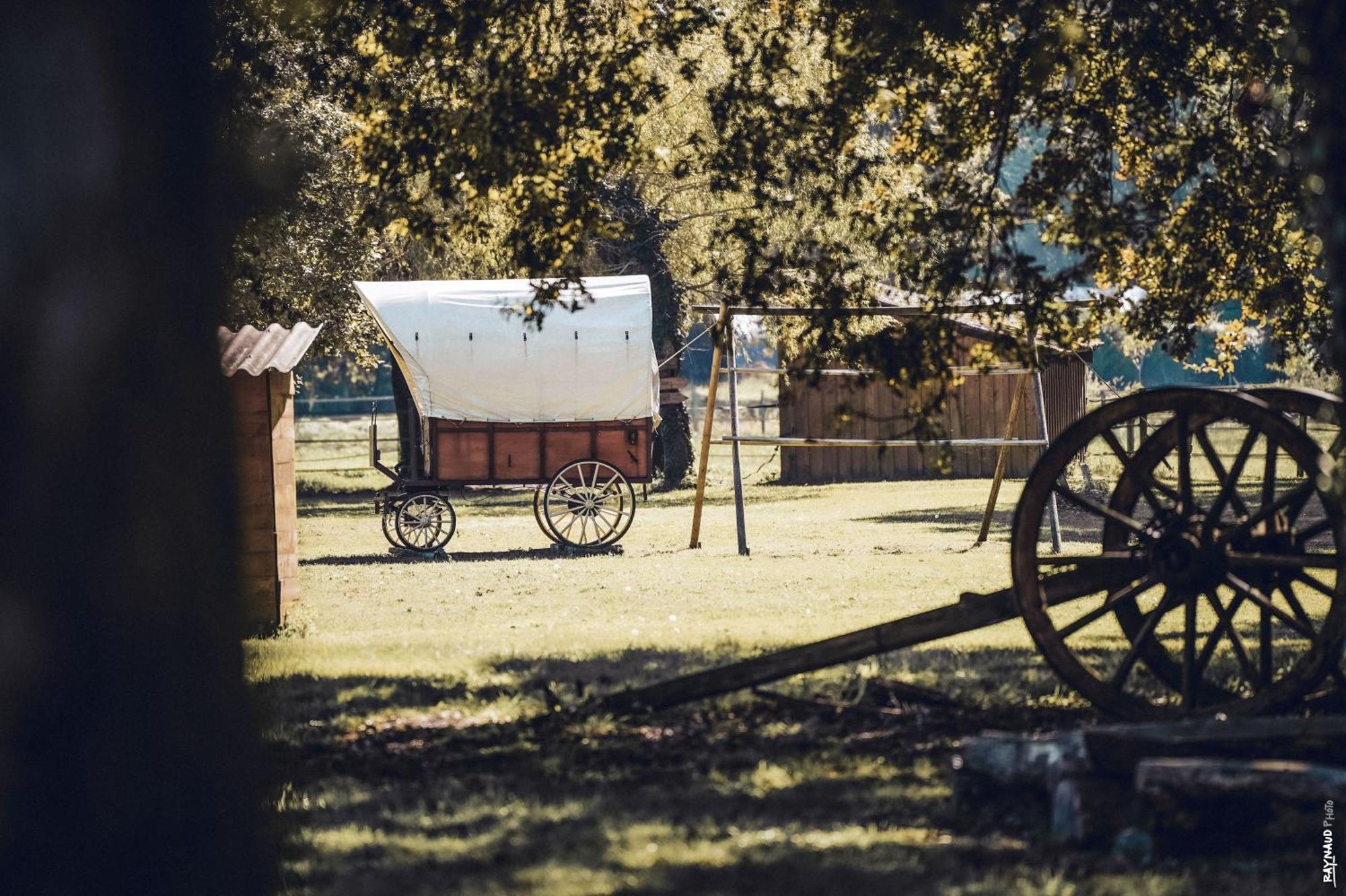 Le Ranch Amadeus Bed and Breakfast Saint-Paul-en-Born Εξωτερικό φωτογραφία
